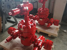Inna partia produktów Wellhead